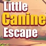Little Canine Escape Games4King