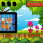 Little Fox Rescue Games2Live