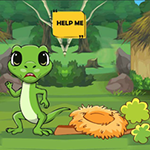Lizard Searching The Stolen Eggs WowEscape