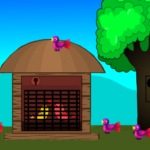 Love Birds Rescue G2L