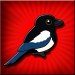 Lovely Magpie Bird Escape FastrackGames