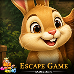 Meadow Rabbit Escape Games4King
