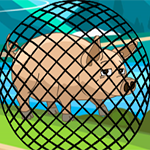 Mesh Pig Escape Games2Live