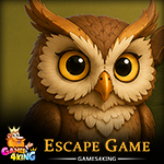 Moonfeather Owl Escape Games4King