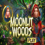 Moonlit Woods Hidden4Fun