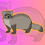 Mustela Nigripes Escape Games2Jolly