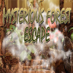 Mysterious Forest Escape 2 365Escape