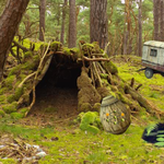 Mystery Forest Cave Escape FirstEscapeGames