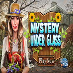 Mystery Under Glass Hidden4Fun