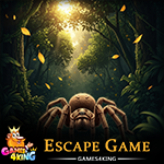 Mystic Spider Escape Games4King