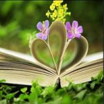 Mystical Book Forest Escape WowEscape