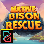 Native Bison Rescue Games4King