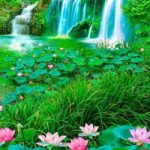 Nature Forest Way Escape Games2Rule