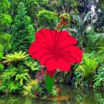 Nature Lake Land Escape Games2Rule