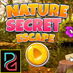 Nature Secret Escape Games4King