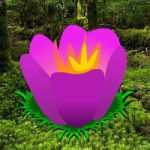 Nature Tempere Forest Escape WowEscape