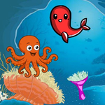 Octopus Joins Birthday Celebration WowEscape