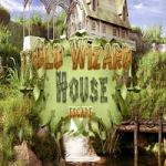 Old Wizard House Escape 365Escape