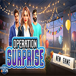Operation Surprise Hidden4Fun
