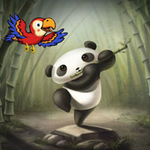Parrot Escaped Panda Jungle BigEscapeGames