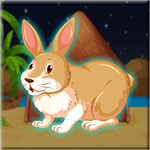 Pet Bunny Rescue From Cage Games2Jolly