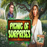 Picnic Of Surprises Hidden4Fun
