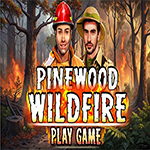 Pinewood Wildfire Hidden4Fun