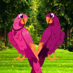 Pinky Bird Pair Escape Games2Rule
