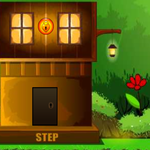 Pity Bird Rescue 1 Games2Live