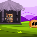 Pity Kitten Rescue Games2Live