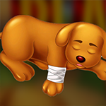 Placid Dog Escape Games4King