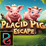 Placid Pig Escape Games4King