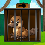 Platypus Cage Escape Games2Live