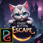 Playful Kitten Escape Games4King