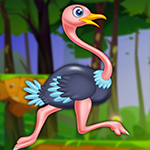 Playful Ostrich Escape Games4King