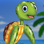 Playful Tortoise Escape Games4King