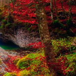 Pleasant Autumn Forest Escape Games2Rule