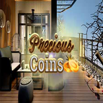 Precious Coins Hidden247