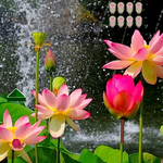 Pretty Blossom Wallpaper Escape WowEscape