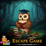 Professor Owl Rescue Games4King