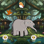 Provide Food Starving Elephant Games2Rule