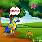Provide Food To Macaw WowEscape