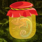 Rainbow Chameleon Forest Escape BigEscapeGames