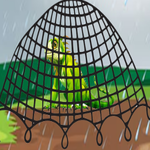 Rainy Iguana Rescue Games2Mad