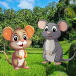 Rat Find The Friend Games2Rule