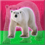 Release Polar Bear From Cage Games2Jolly
