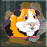 Release The Cavia Porcellus From Cage Games2Jolly
