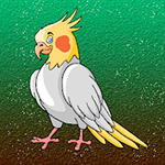 Release The Cockatiel Bird From Cage Games2Jolly