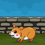 Release The Hamster Games2Jolly