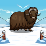 Release The Musk Ox Games2Jolly